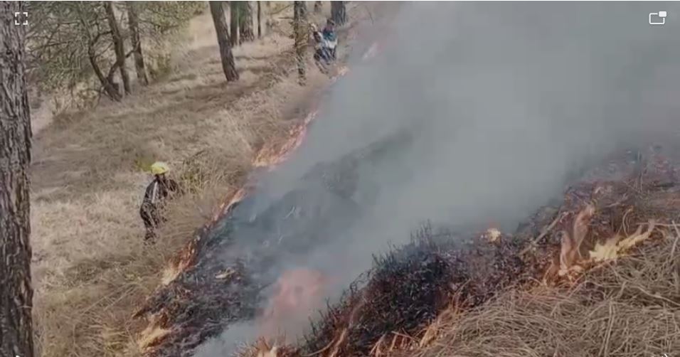 रजक तत्व द्वारा जंगलों में लगाई आग पहुंची गांव तक फायर कर्मों ने कड़ी मशक्कत के बाद आग पर पाया काबू