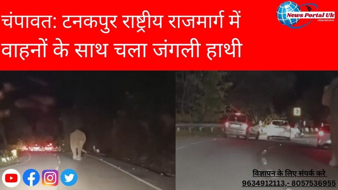 चंपावत: टनकपुर राष्ट्रीय राजमार्ग में वाहनों के साथ चला जंगली हाथी