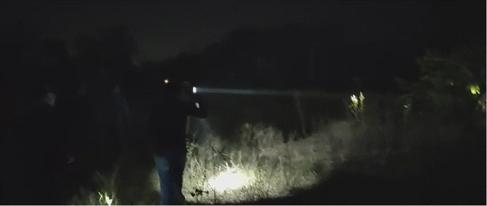 लालकुआँ में तीसरी बार फिर पहुँचा भालू, लोगों में फैली दहशत