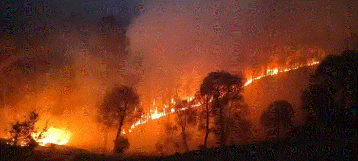 SC पहुंचा उत्तराखंड के जंगलों में आग का मामला, केंद्र और राज्य सरकार को लगाई फटकार