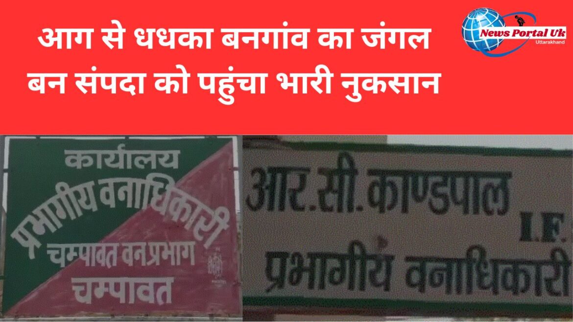 आग से धधका बनगांव का जंगल बन संपदा को पहुंचा भारी नुकसान