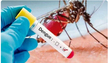 डेंगू व चिकनगुनिया को लेकर स्वास्थ्य विभाग अलर्ट, एडवाइजरी जारी