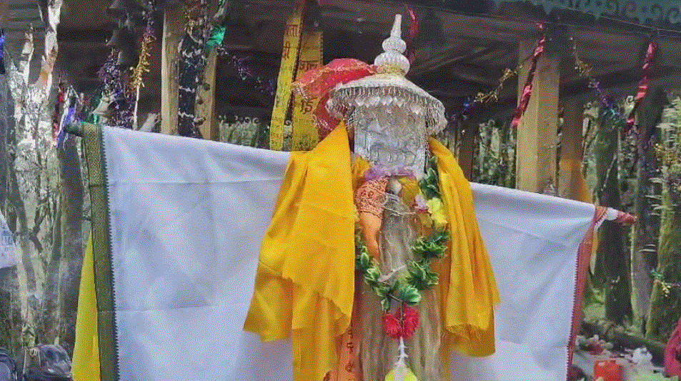 चमत्कार दूध गाडू मेले में प्रकट हुए नागराज ग्रामीणों को दिया आर्शीवाद प्रत्येक साल साक्षात् दर्शन देते हैं नागराज