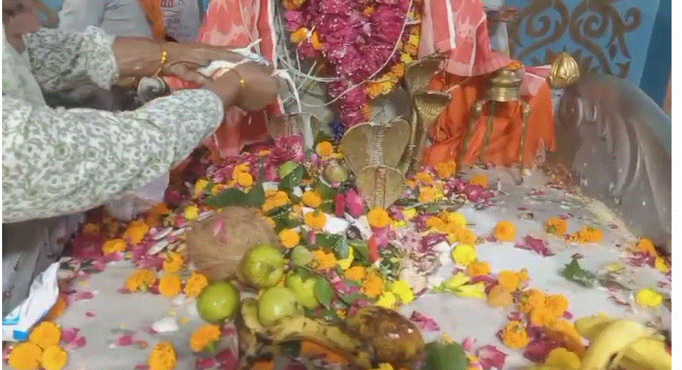 नाग पंचमी पर मन्दिरो में श्रद्धालुओं की धूम
