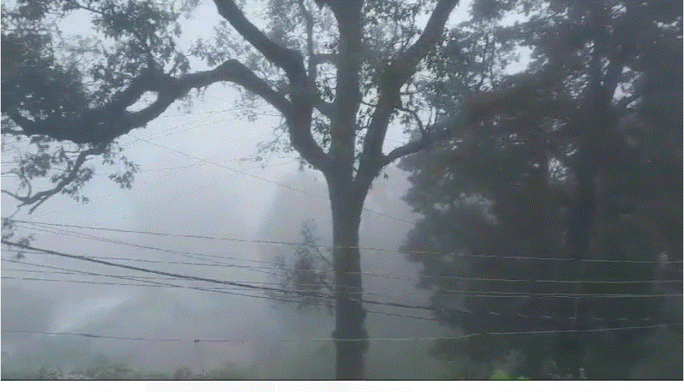 सरोवर नगरी व उसके आसपास छाया कोहरा ।