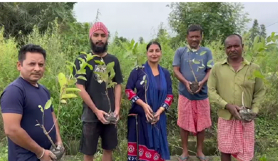 गदरपुर के मकरंदपुर गांव की सामाजिक और आंगनबाड़ी कार्यकर्ती मनप्रीत कौर ने गांव में ग्रामीणों के सहयोग से किया वृक्षारोपण।