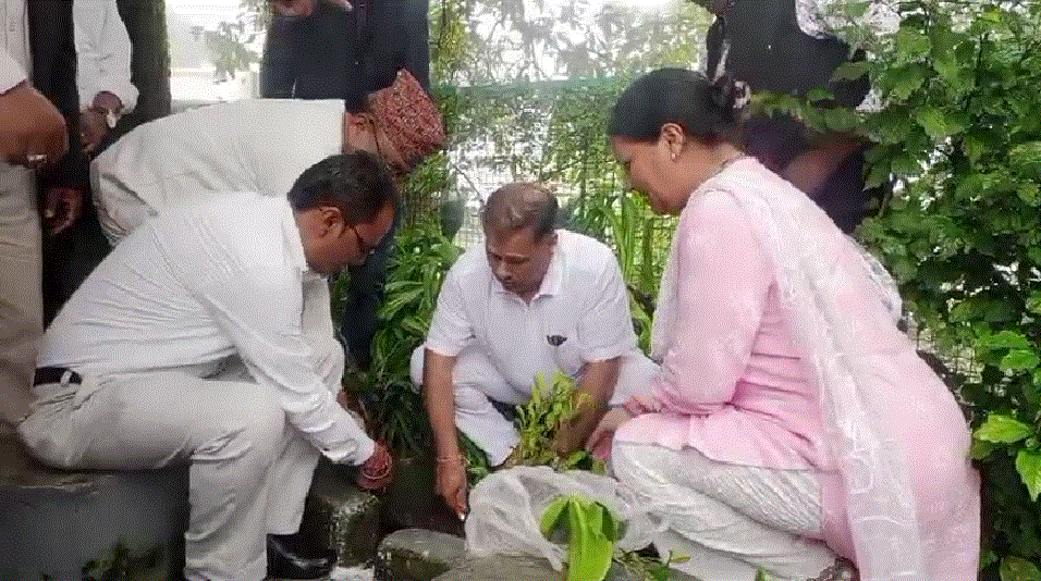 हरेला पर्व पर वृक्षारोपण