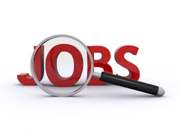 धामी सरकार इस माह 11 विभागों में 4400 पदों पर शुरू करेगी भर्ती प्रक्रिया।