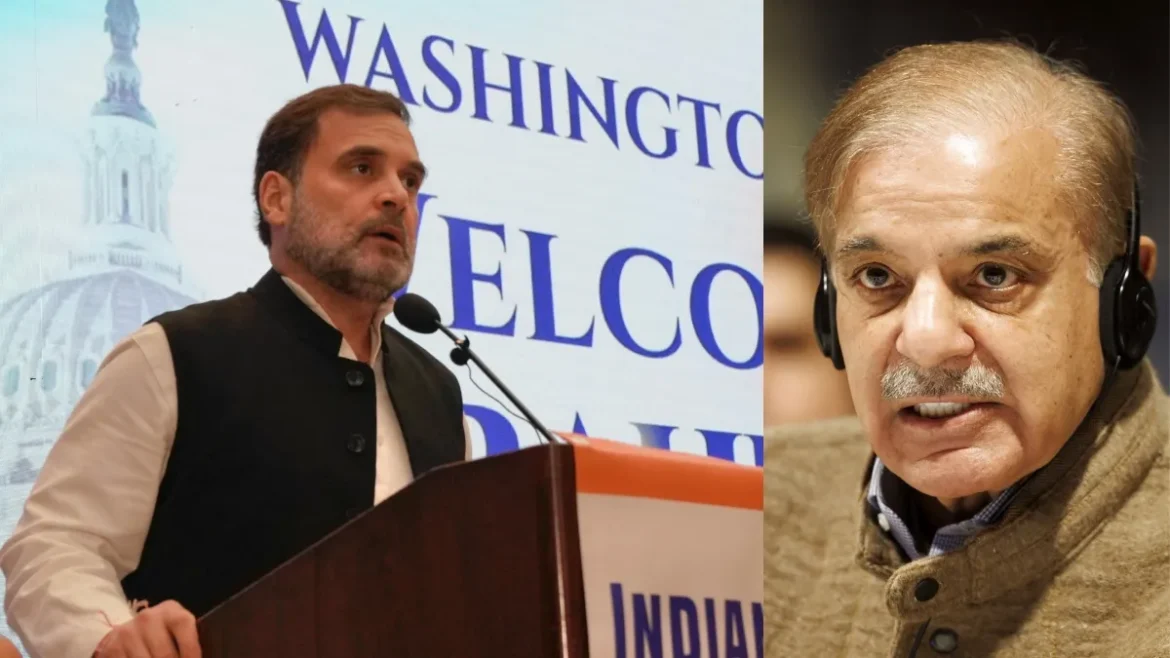 आतंक को बढ़ावा कतई स्वीकार नहीं’, पाकिस्तान को लेकर अमेरिका में बोले राहुल गांधी