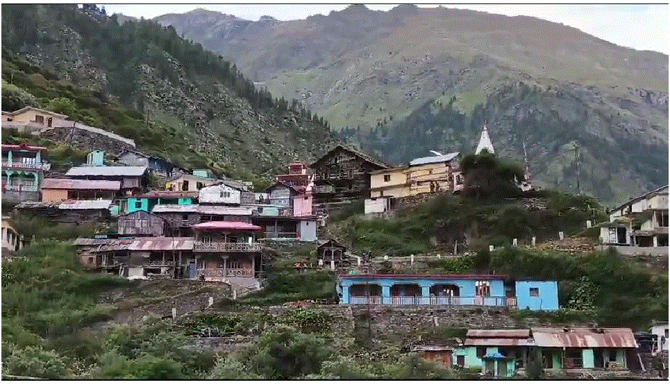 आखिर क्यों विलुप्त हो रहा है देव वृक्ष पय्यां धार्मिक अनुष्ठानों के साथ आयुर्वेद में भी है महत्वपूर्ण उत्तराखंड की संस्कृति से भी जुड़ा है इस वृक्ष का महत्व