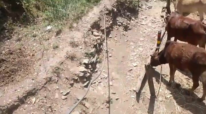 छह महीने से पानी को तरस रहे ओखलकांडा के चमोली बड़ोंन के ग्रामीण, 80 परिवारों पर संकट