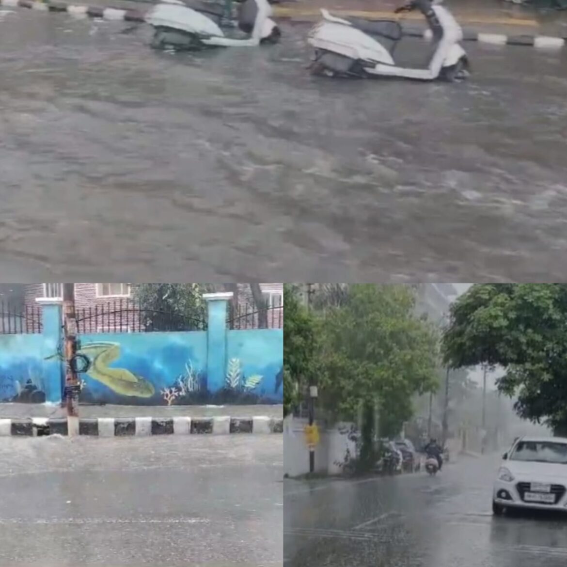 जल भराव की समस्या पर नगर निगम सख्त, रेनवाटर हार्वेस्टिंग पर जोर