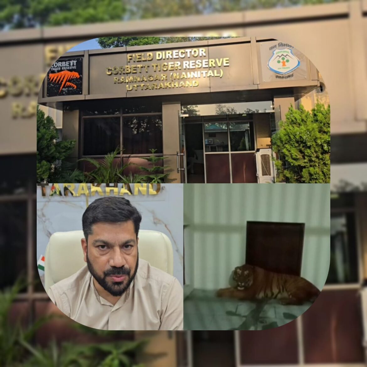 बर्ड फ्लू के खतरे के बीच कॉर्बेट टाइगर रिजर्व हाई अलर्ट पर, वन विभाग ने सख्त किए सुरक्षा प्रोटोकॉल