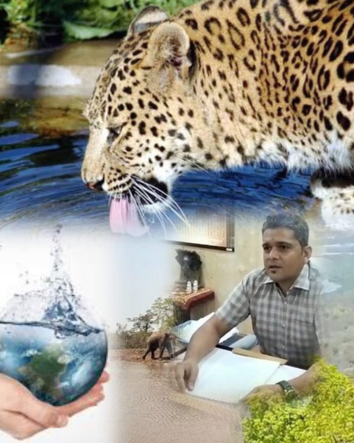 गर्मियों में वन्यजीवों को मिलेगी राहत, हरिद्वार के जंगलों में पानी की व्यवस्थाएं तेज