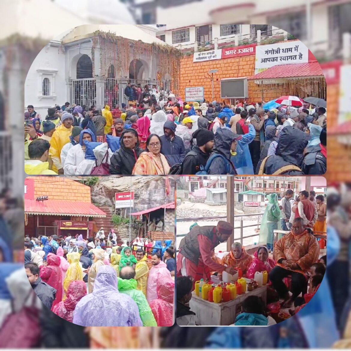 चारधाम यात्रा में श्रद्धालुओं की भीड़, बारिश में भी नहीं थम रहा आस्था का सैलाब