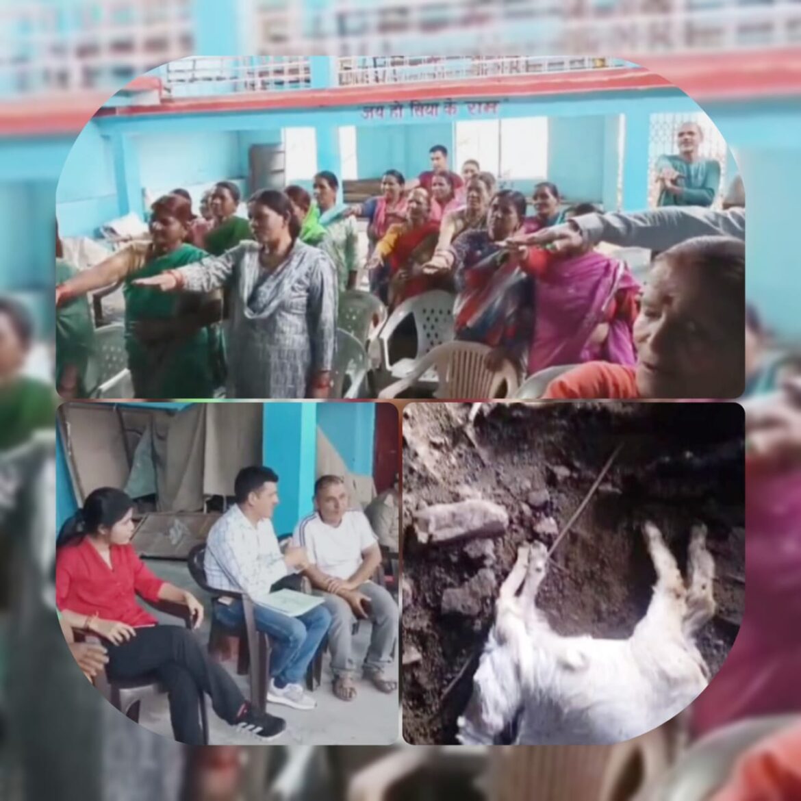 गुलदार के हमलों से ग्रामीणों में दहशत, वन विभाग ने किया गांवों का दौरा