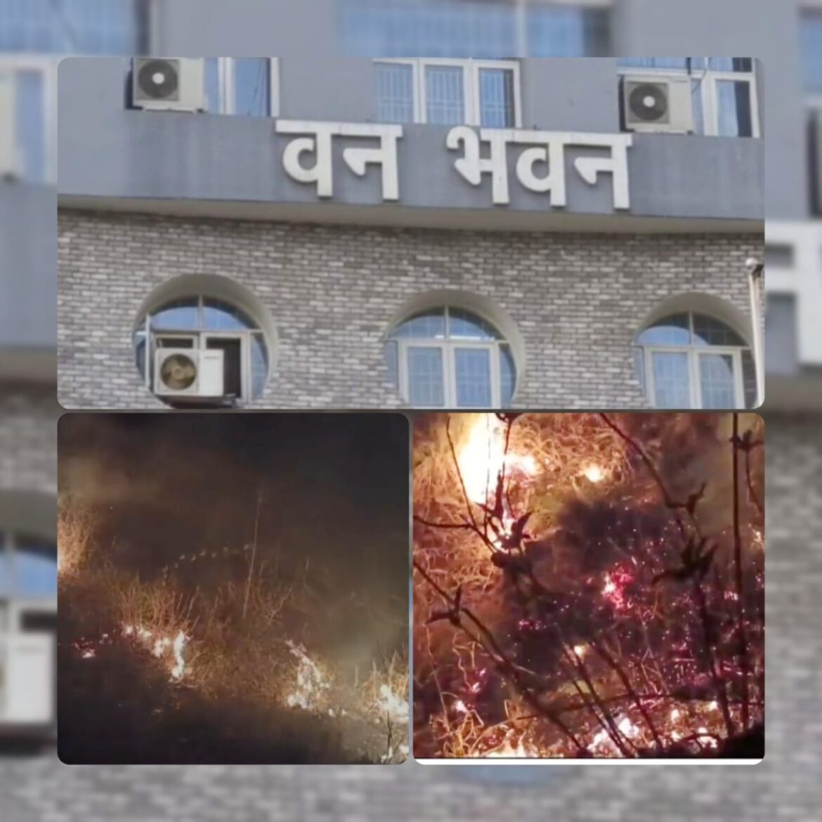 जनसहभागिता से वानग्नि पर नियंत्रण, वन मंत्री ने गिनाई उपलब्धियां