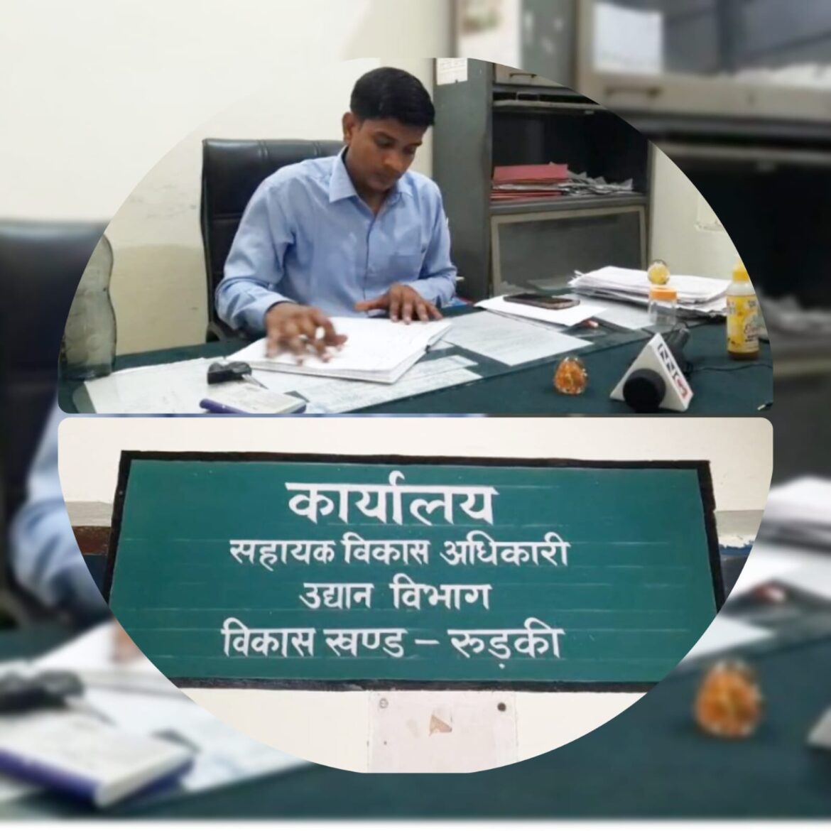 किसानों को मिलेगा मुफ्त फलदार पौधों का लाभ, 80% सब्सिडी पर लगेंगे पॉलीहाउस