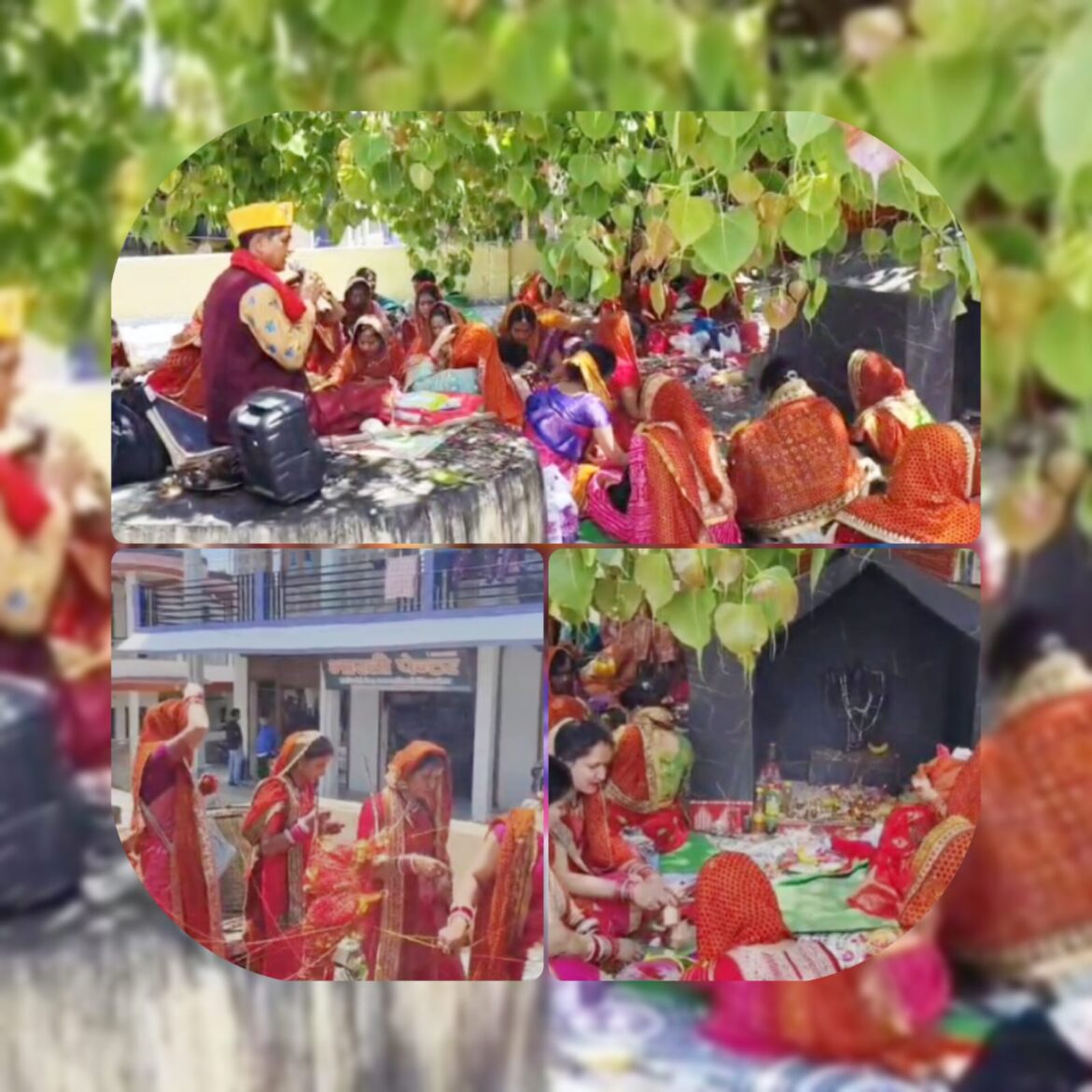 लोहाघाट में वट सावित्री व्रत धूमधाम से मनाया गया