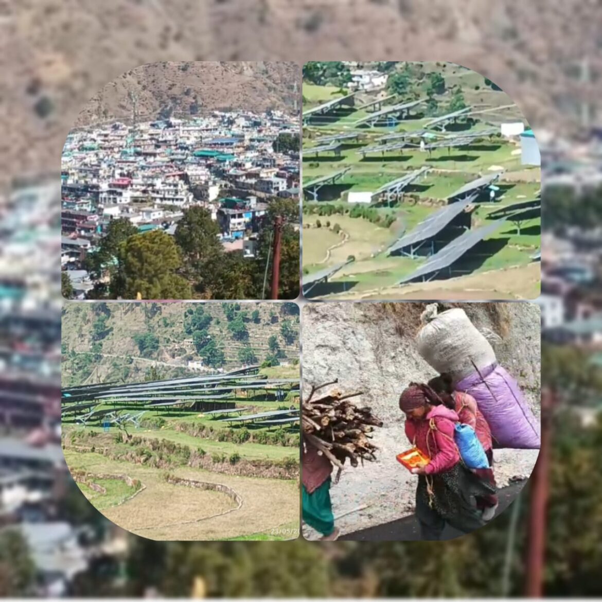 उत्तरकाशी के गाजणा क्षेत्र में सौर ऊर्जा और जैविक खेती से पलायन पर काबू