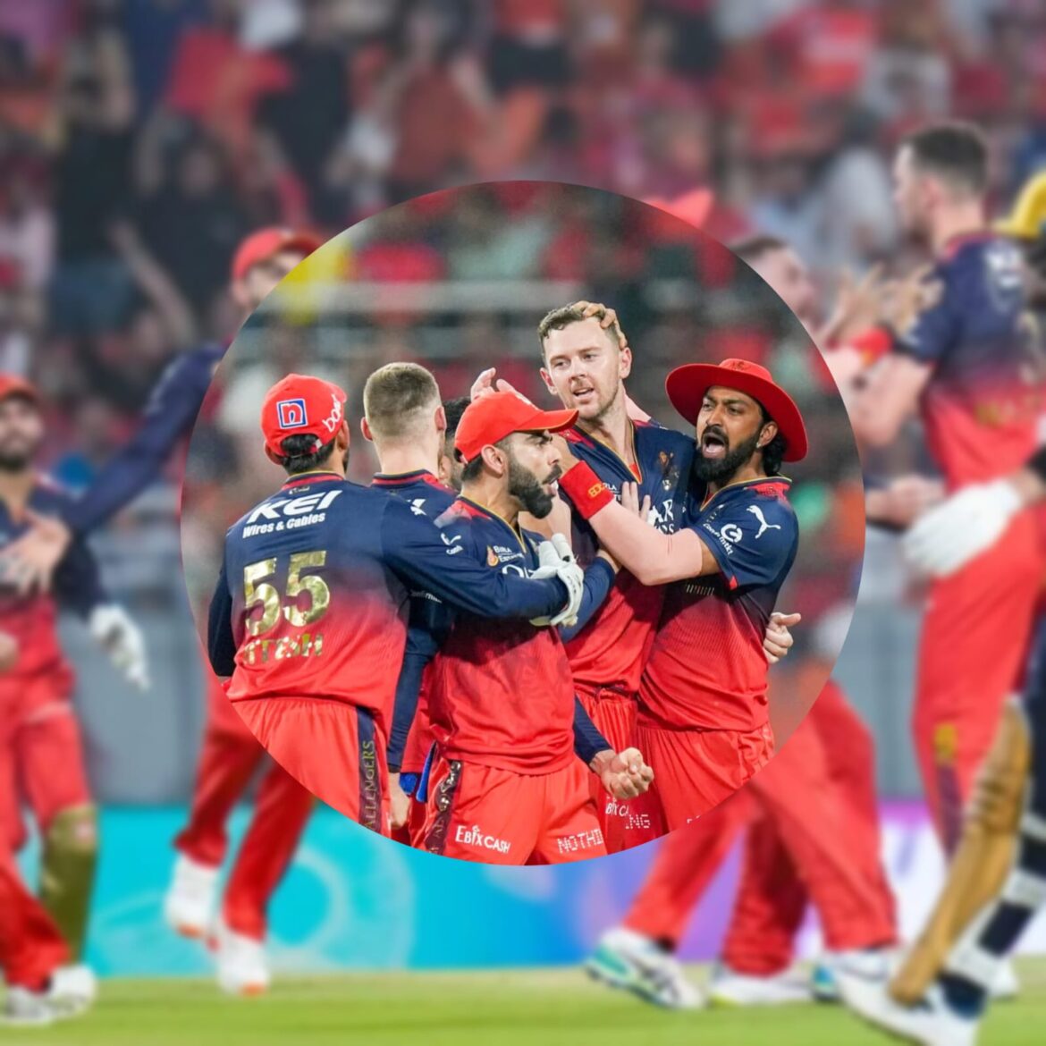आरसीबी ने पंजाब को हराकर फाइनल में बनाई जगह, गेंदबाजों का दिखा कहर