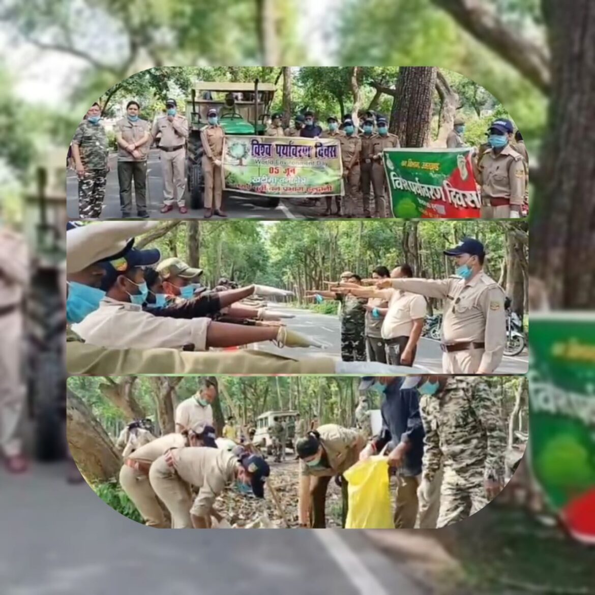 विश्व पर्यावरण दिवस पर खटीमा में फलदार वृक्षारोपण व वन सफाई अभियान आयोजित