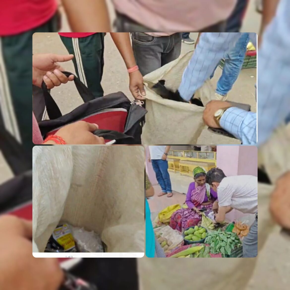 विश्व पर्यावरण दिवस 2025 पर खटीमा में पॉलीथिन विरोधी अभियान, उपजिलाधिकारी ने की सख्त कार्रवाई