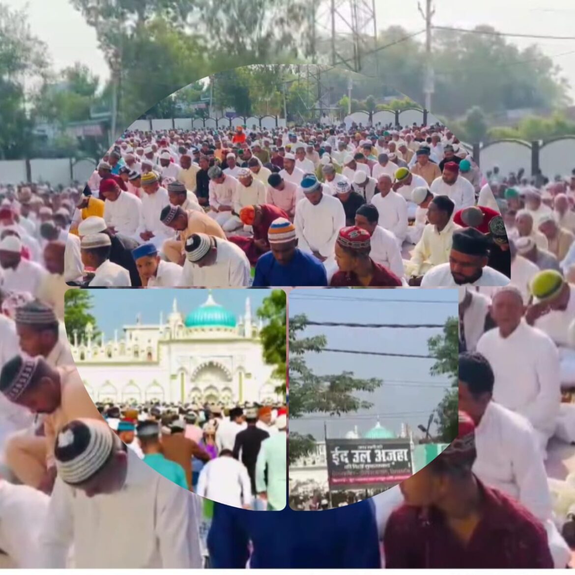 सितारगंज में अक़ीदत और सादगी के साथ अदा की गई ईद-उल-अजहा की नमाज, अमन और भाईचारे की दुआएं