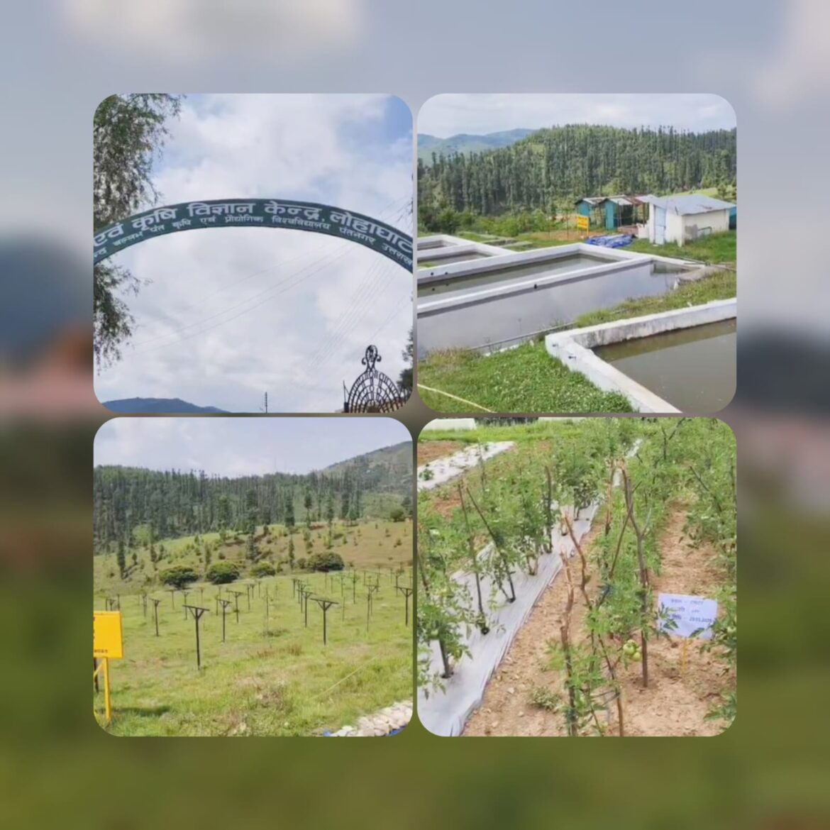 लोहाघाट का कृषि विज्ञान केंद्र बना किसानों के लिए वरदान