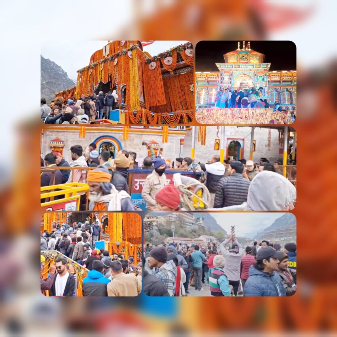 चारधाम यात्रा में उमड़ा श्रद्धालुओं का सैलाब: बद्रीनाथ में 7 लाख और हेमकुंड साहिब में 1 लाख श्रद्धालु कर चुके हैं दर्शन