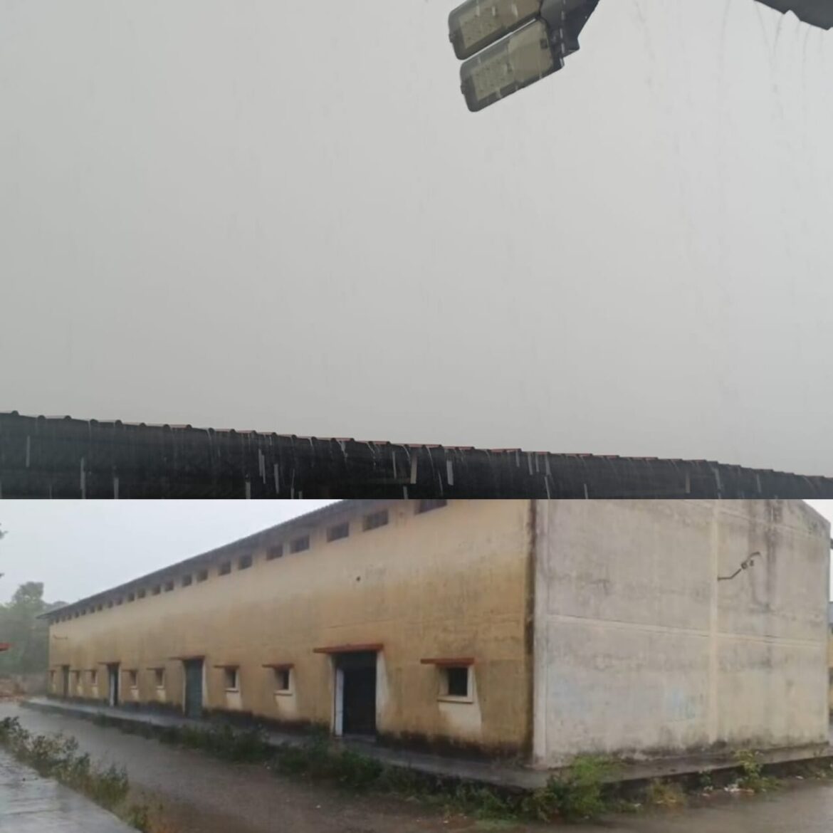 काशीपुर में झमाझम बारिश से गर्मी से मिली राहत, किसानों के चेहरे खिले