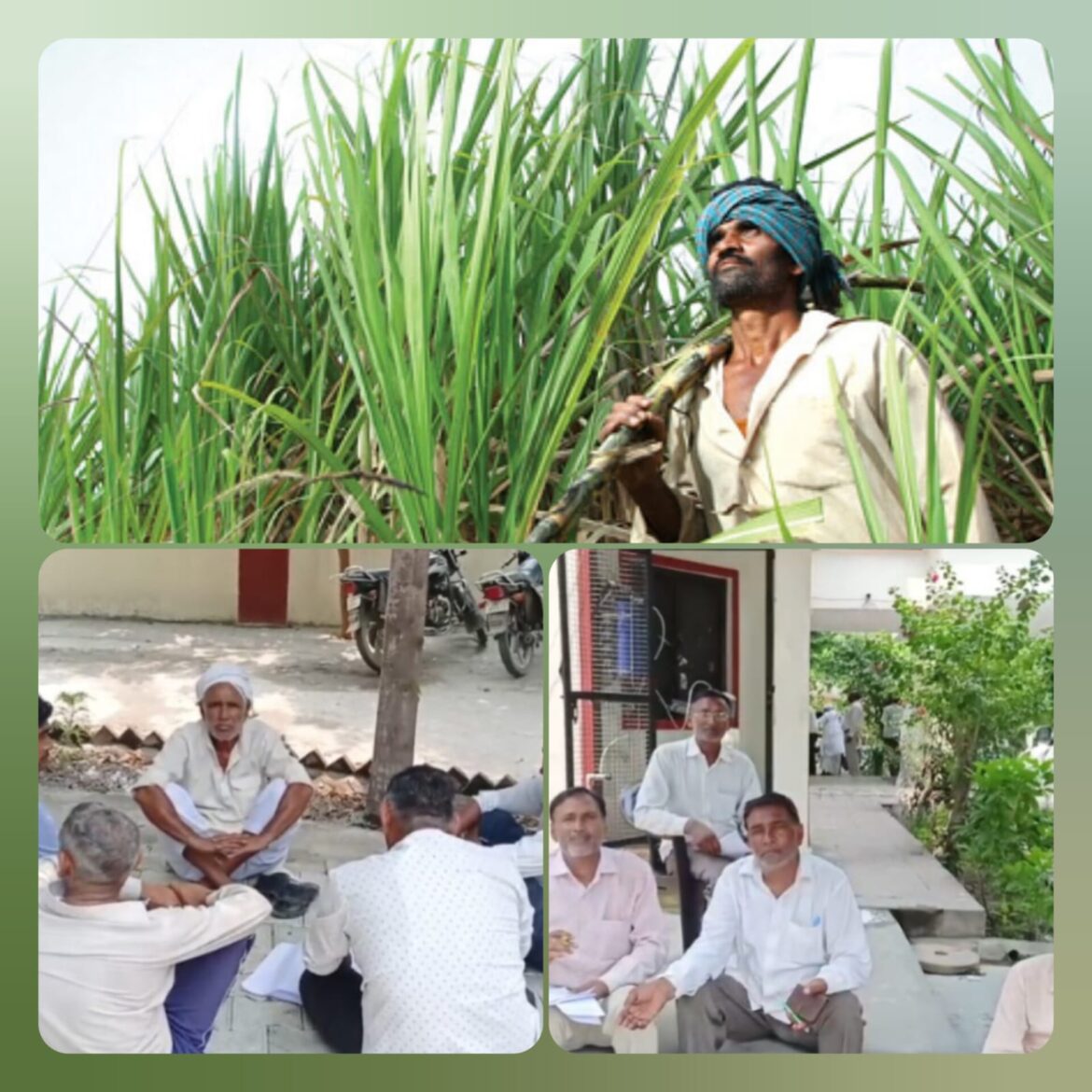 लक्सर गन्ना विकास समिति में चुनावी बिगुल, 20 और 21 जून को होगा मतदान