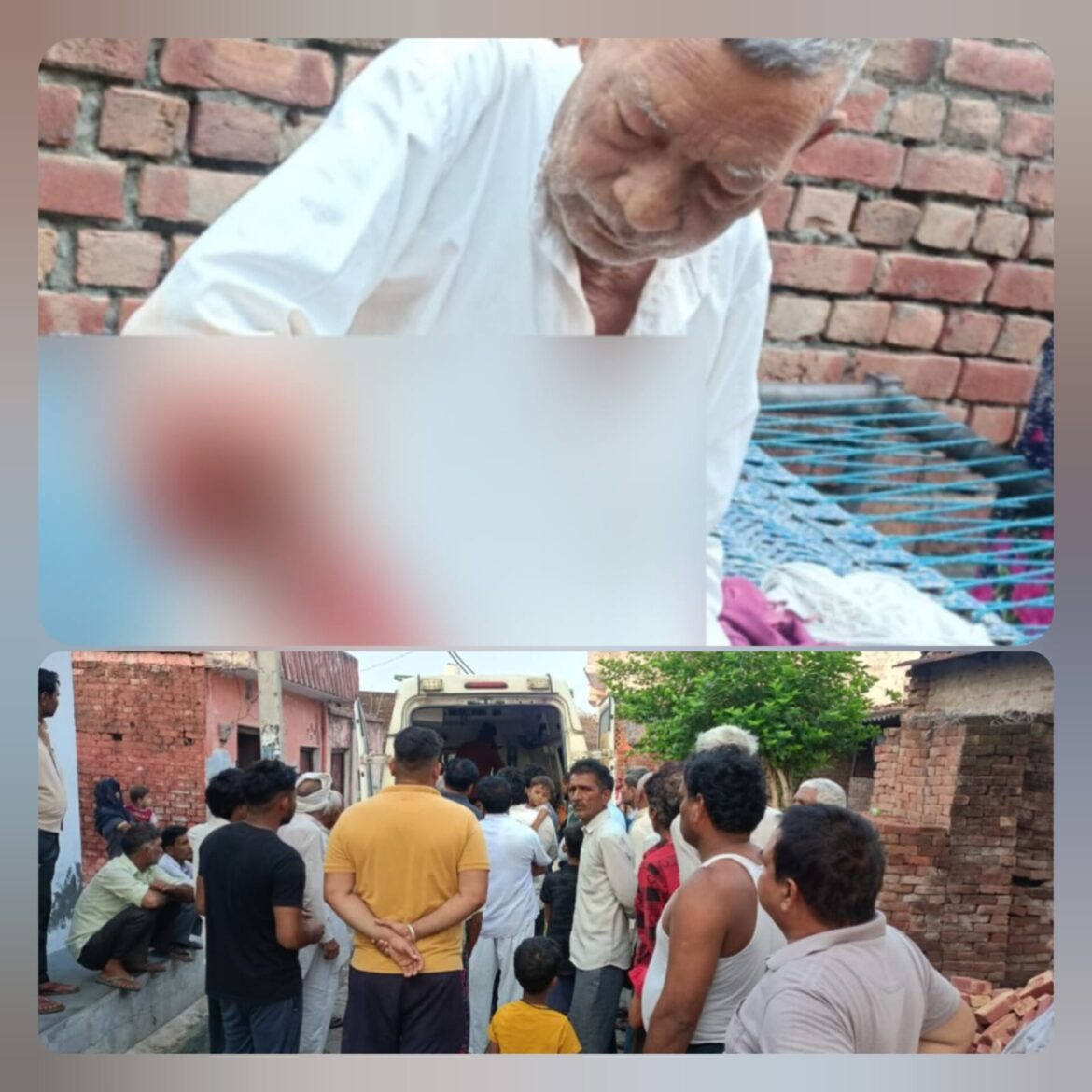 लक्सर: डूंगरपुर गांव में मगरमच्छ का हमला, ग्रामीण गंभीर रूप से घायल