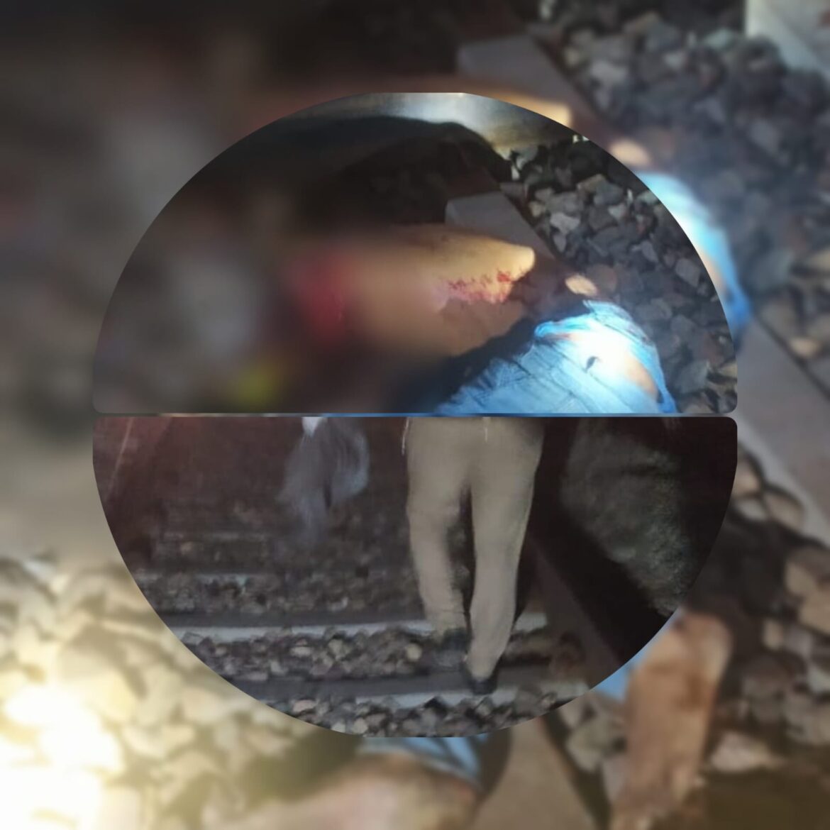 ट्रेन के आगे कूदकर युवक ने दी जान, टुकड़ों में बंटा शवमानसिक रूप से अस्वस्थ था युवक, रायवाला रेलवे ट्रैक पर दर्दनाक घटना