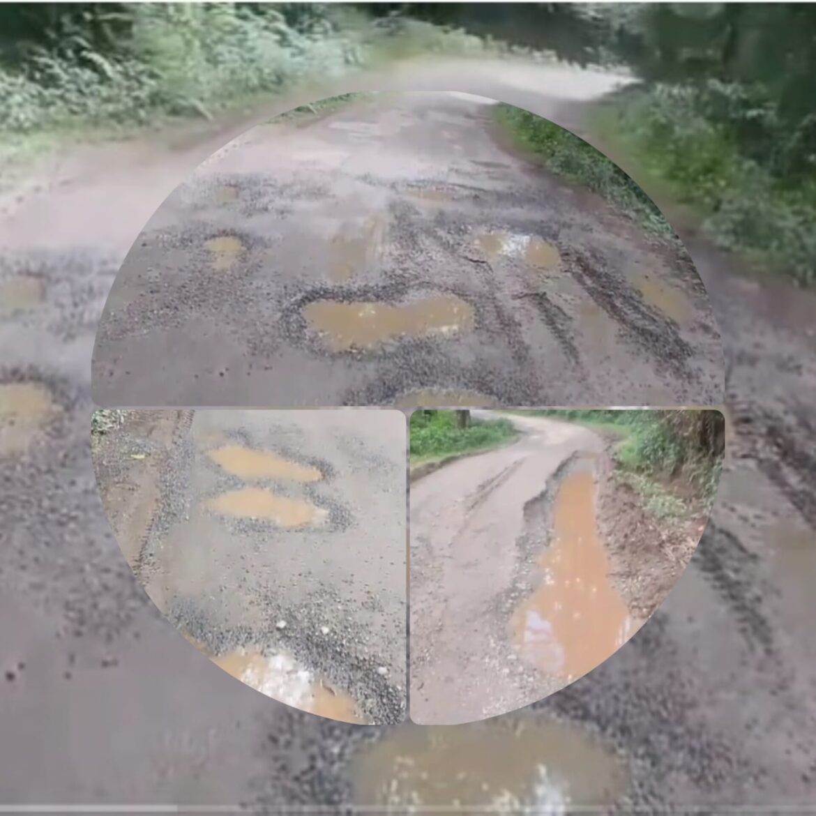 चंपावत: लोहाघाट ब्लॉक की रोसाल सड़क गड्ढों में तब्दील, दुर्घटनाओं को दे रही दावत