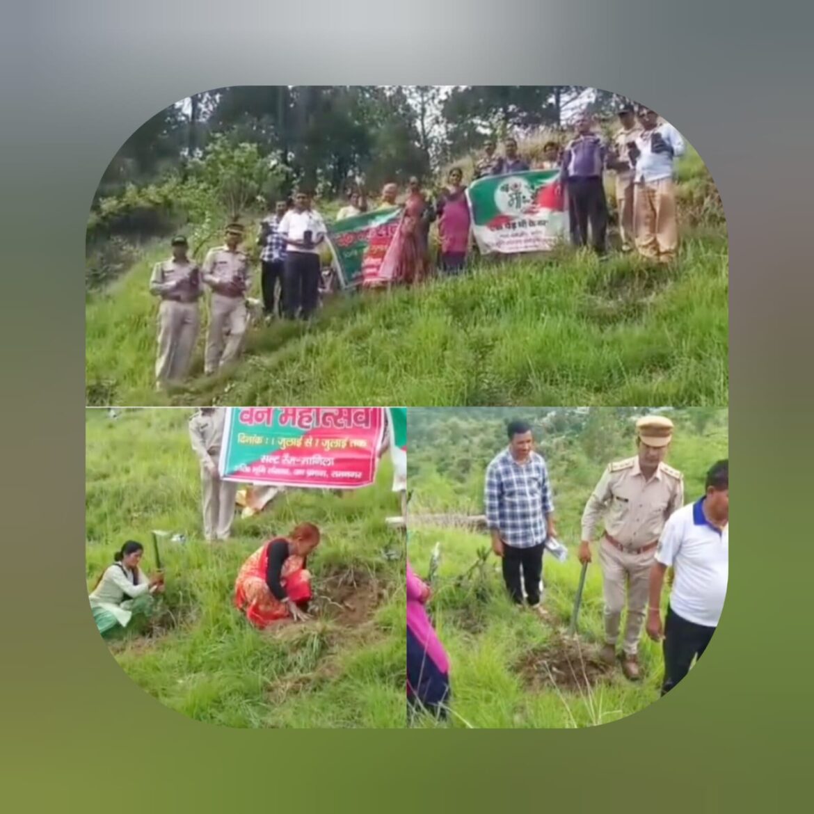 खल्टा वन पंचायत में वन महोत्सव का आयोजन, लगाए गए फलदार व छायादार पौधे