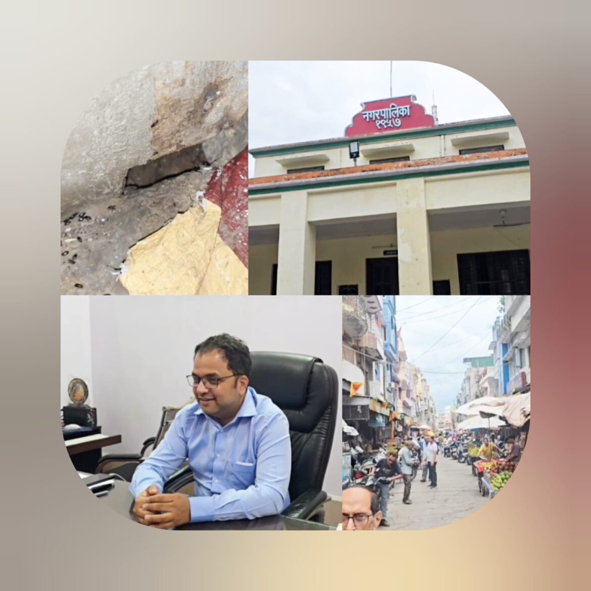 रामनगर में चूहों का आतंक! मकानों की नींव खोखली, व्यापारी और रहवासी दहशत में