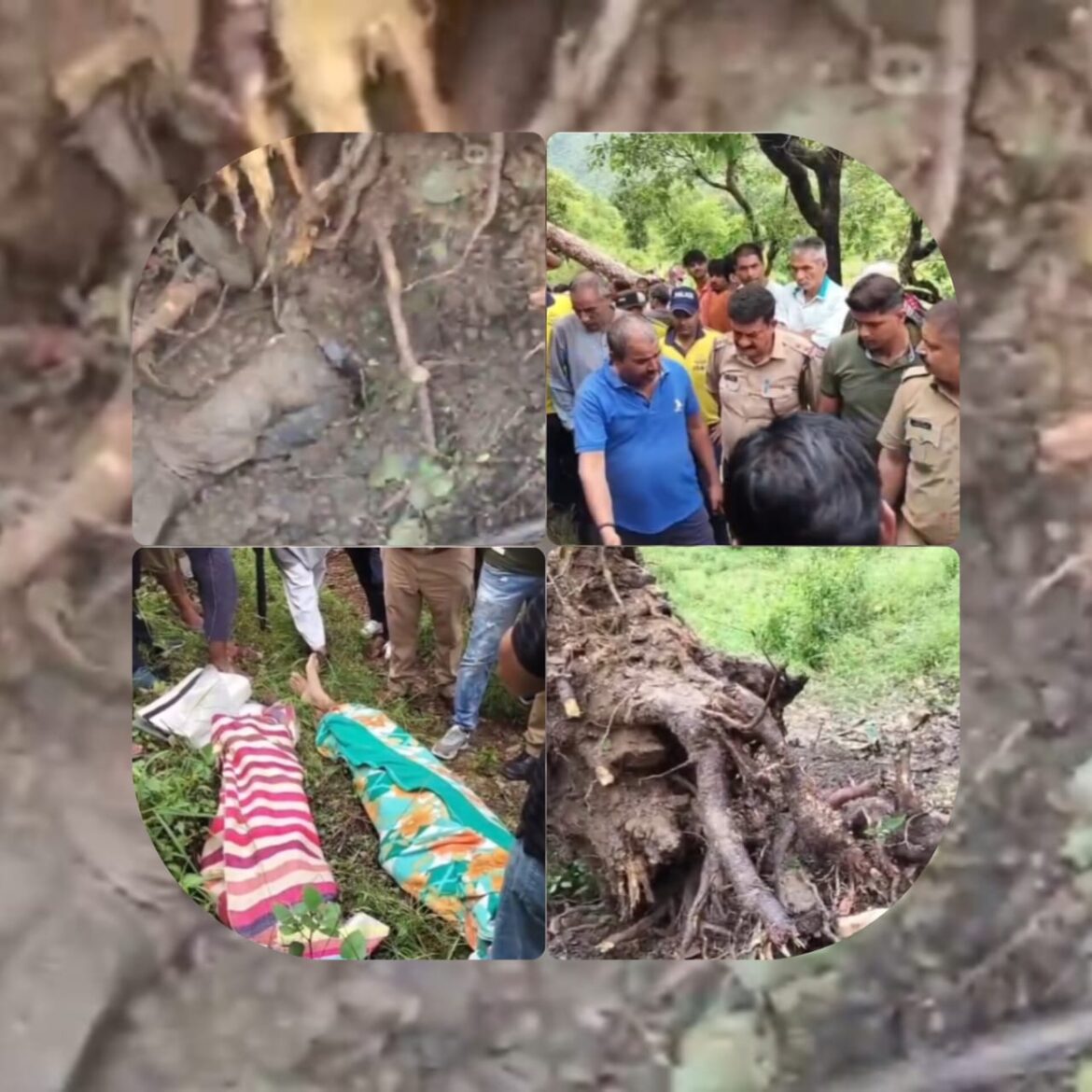 घनसाली में भारी बारिश और तूफान बना दो मासूमों के लिए काल, स्कूल से लौटते वक्त चीड़ का पेड़ गिरने से दर्दनाक मौत