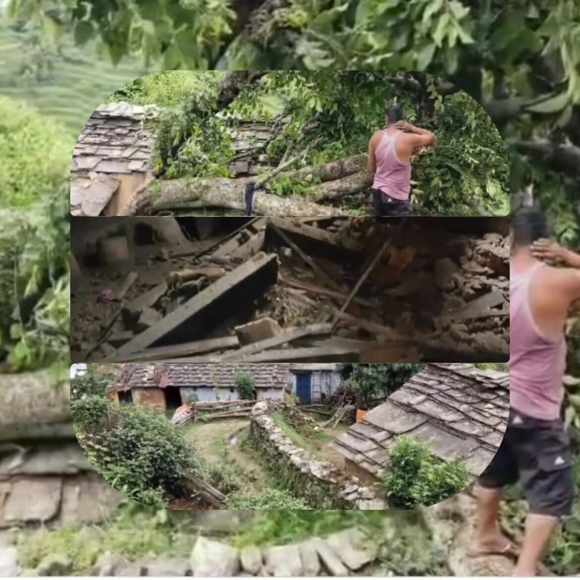 भिंगराड़ा में भारी बारिश के बीच पेड़ गिरने से मकान क्षतिग्रस्त, जनहानि टली