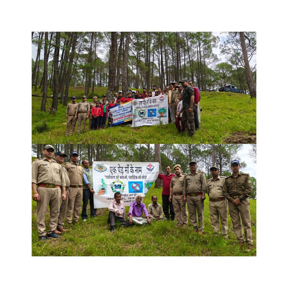 हरेला पर्व पर रानीखेत वन प्रभाग में 600 पौधों का वृक्षारोपण, पर्यावरण संरक्षण की ओर मजबूत कदम