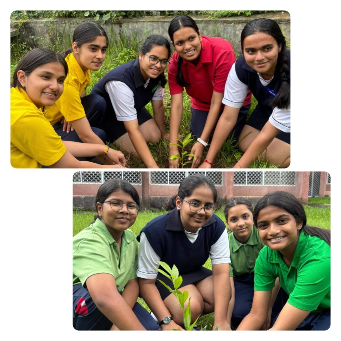 अशोक हॉल गर्ल्स रेजिडेंशियल स्कूल मजखाली में हरेला पर्व पर पौधारोपण, छात्राओं ने लिया प्रकृति संरक्षण का संकल्प