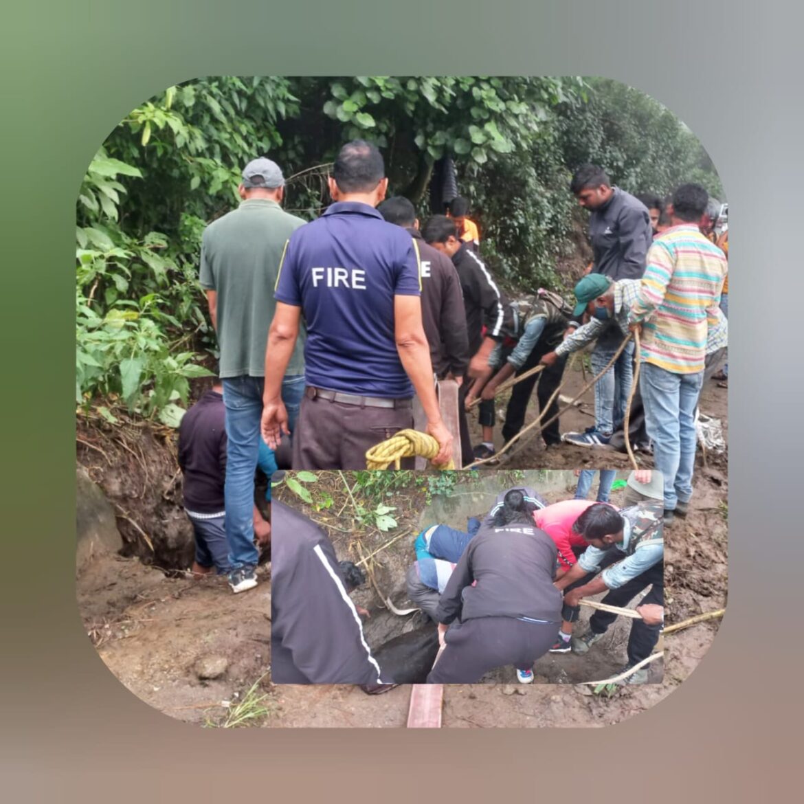 रानीखेत: नाले में गिरी गाय को फायर सर्विस यूनिट ने बचाया, लोगों ने की सराहना