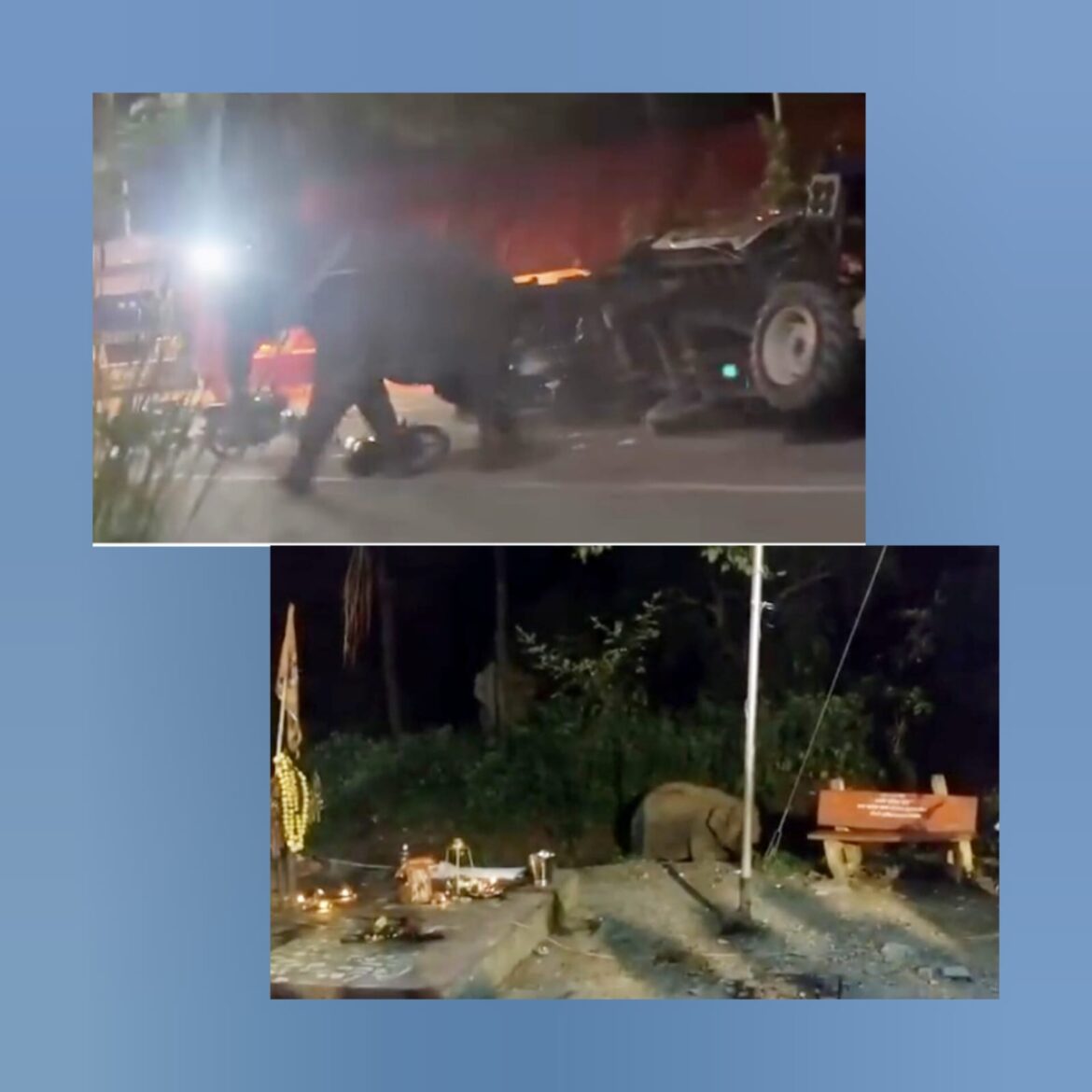 देहरादून: हाथियों से मजाक पड़ा भारी, कांवड़ कैंप में मचाई तबाही