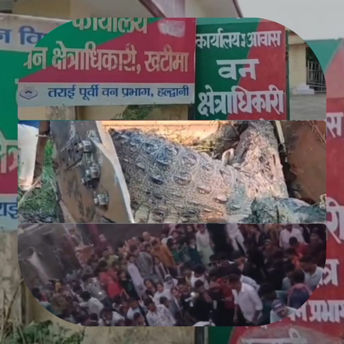 खटीमा में मगरमच्छों की बढ़ती दहशत, वन विभाग ने चलाया रेस्क्यू अभियान