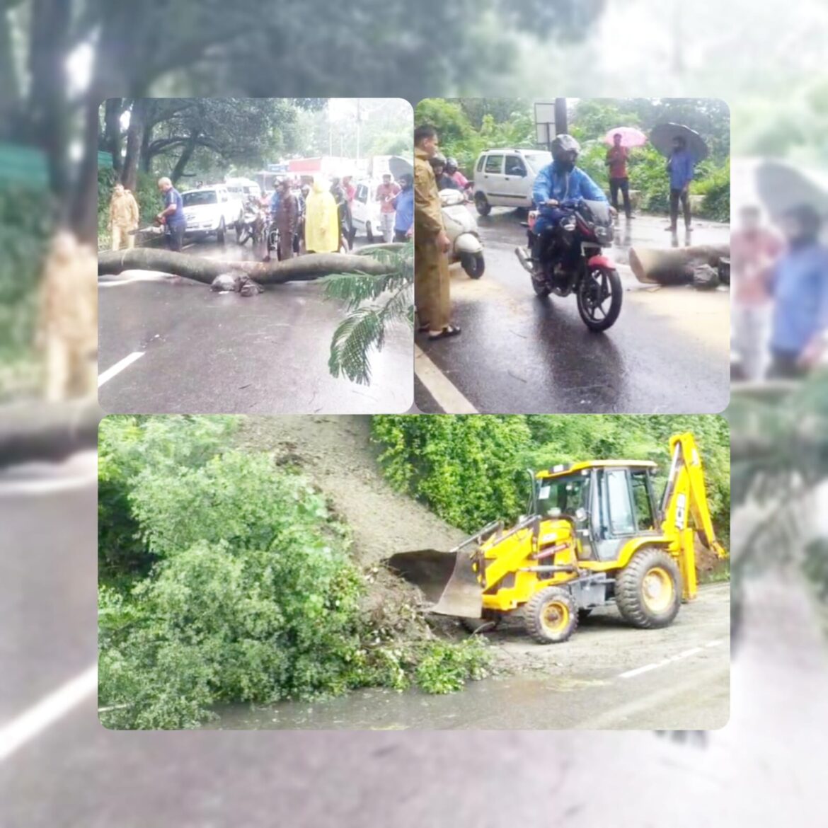 मूसलाधार बारिश से जनजीवन अस्त-व्यस्त, कोठाल गेट पर पेड़ गिरने से मार्ग रहा बाधित