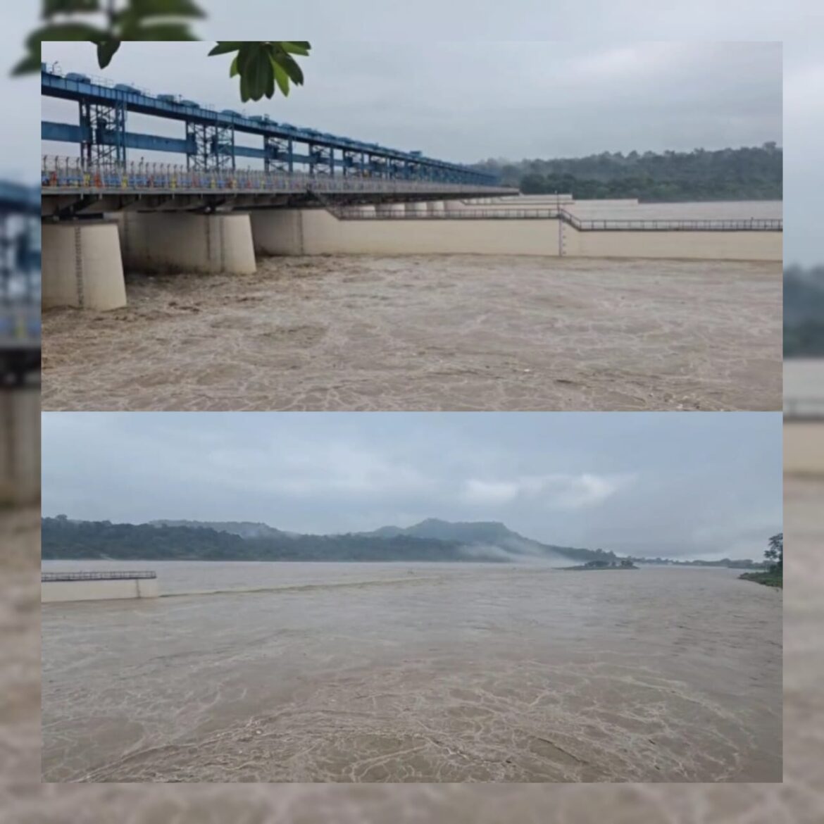 भिमगोडा बैराज – नदी की स्थिति रिपोर्ट