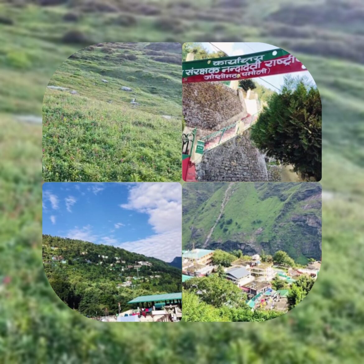 चमोली में भारी बारिश का अलर्ट: हेमकुंड साहिब, रुद्रनाथ व फूलों की घाटी में पर्यटकों की आवाजाही आज बंद