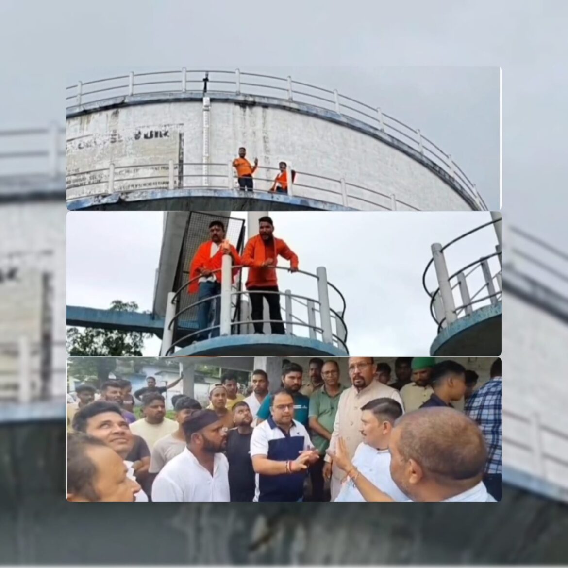 रामनगर की सड़कों पर बढ़ती आवारा गायों की संख्या, करणी सेना का विरोध प्रदर्शन