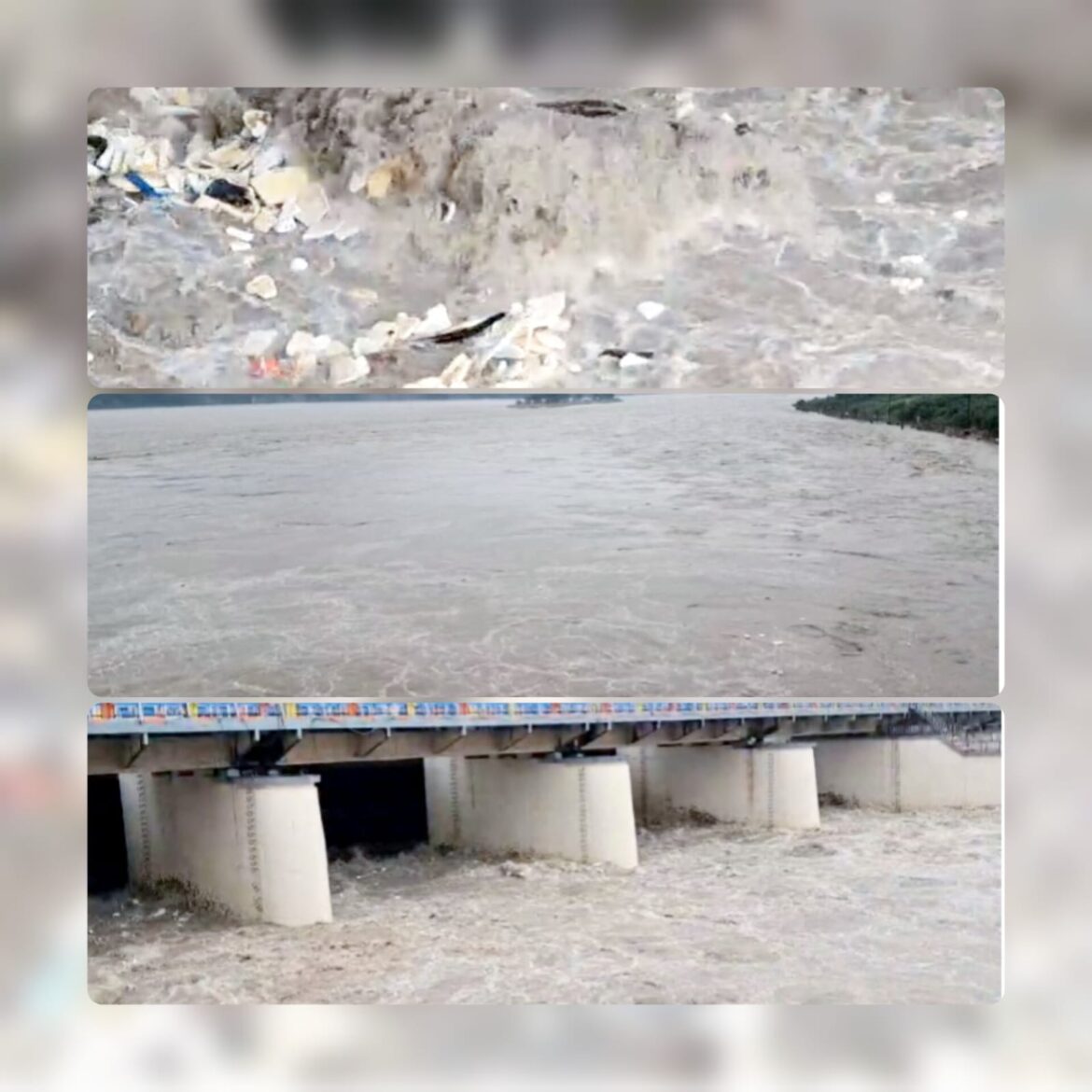 हरिद्वार में गंगा का जलस्तर चेतावनी स्तर के पार, निचले इलाकों में अलर्ट जारी