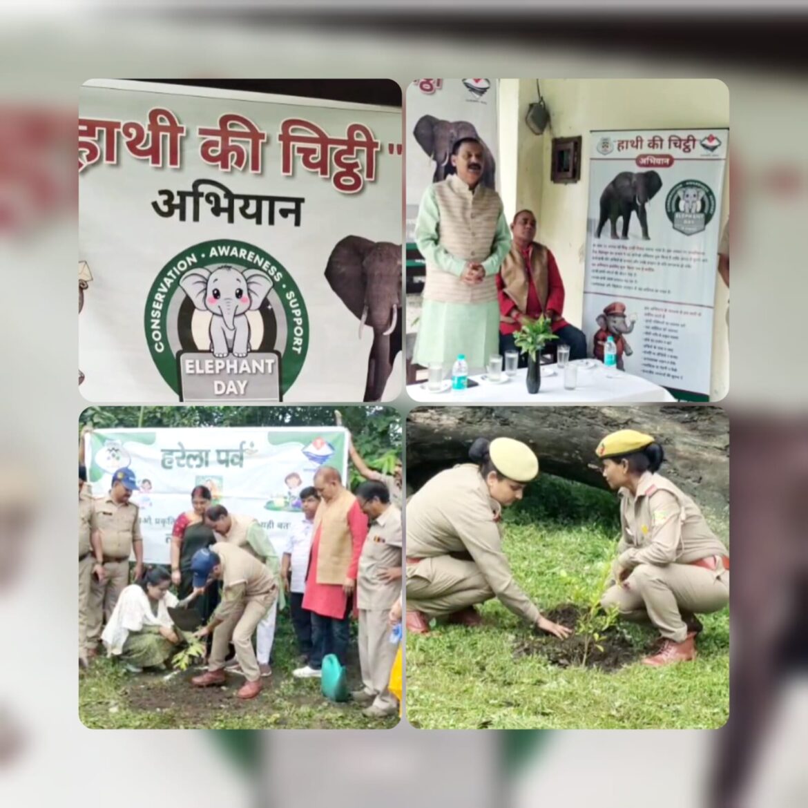 लच्छीवाला रेंज में मनाया गया विश्व हाथी दिवस, ‘हाथी की चिट्ठी’ ने दिया संदेश